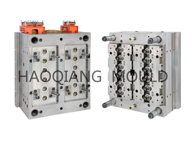 运动盖主体模具